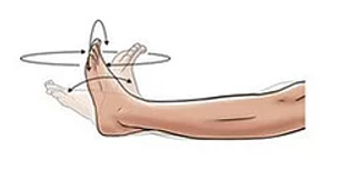 Ankle Range
