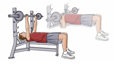 Bench Press