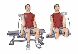 Biceps Curl