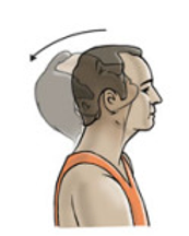 Neck Extension