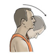Neck Flexion