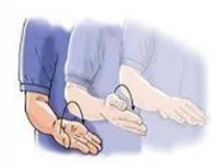 Forearm Pronation & Supination