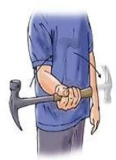 Forearm Pronation & Supination with Weight