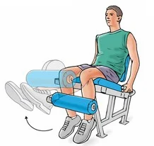 Leg Extension