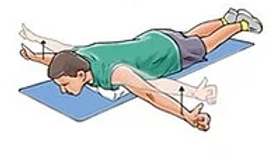 Mid-Trapezius Exercise