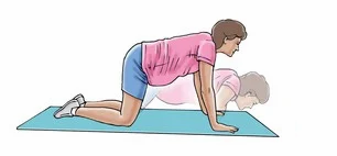 Modified Push-up