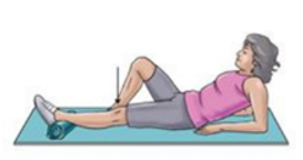 Passive Knee Extension