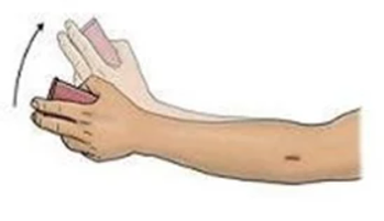 Wrist Radial Deviation