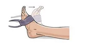 Resisted Ankle Dorsiflexion