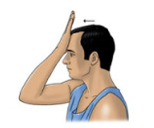 Neck Flexion with Resistance