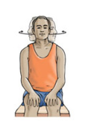 Neck Rotation