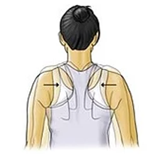 Mid-Scapular Squeeze