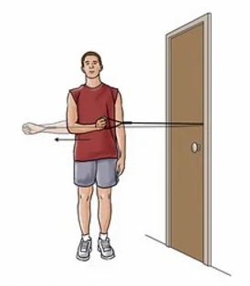 Shoulder External Rotation