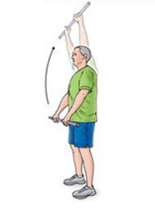 Shoulder Flexion