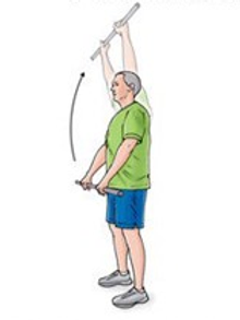 Shoulder Flexion