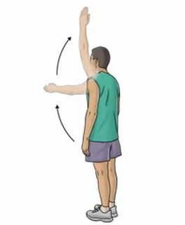 Shoulder Flexion