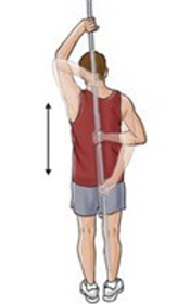 Shoulder Internal Rotation