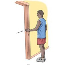 Resisted Shoulder Internal Rotation