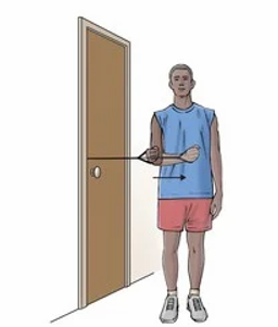 Shoulder Internal Rotation