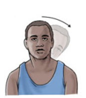 Neck Side Flexion