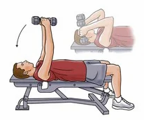 Triceps Extension