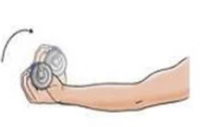 Wrist Flexion