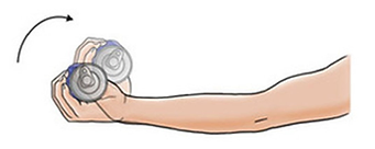 Wrist Flexion