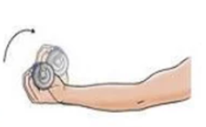 Wrist Flexion