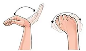 Gentle Wrist Range of Motion
