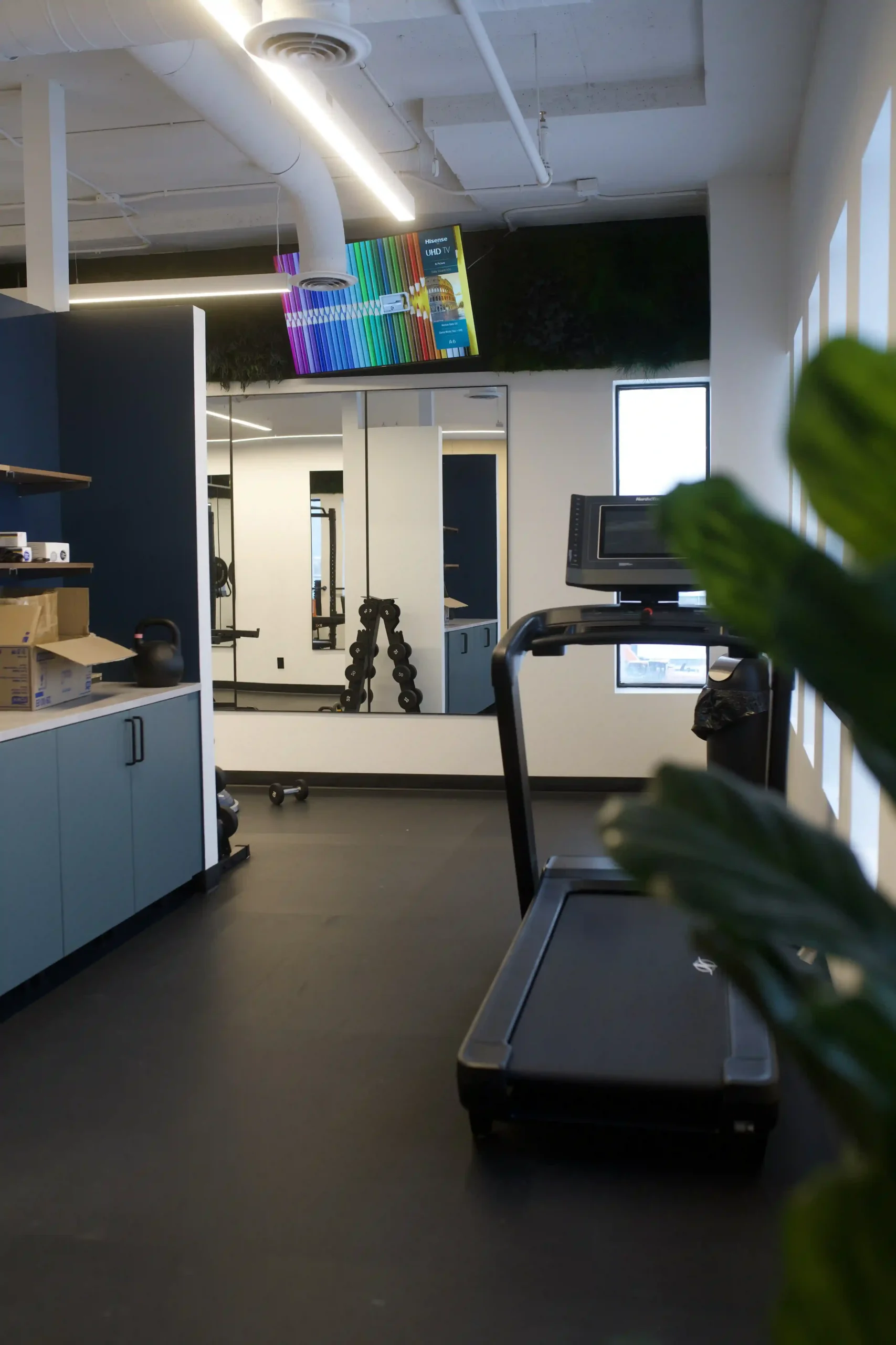 Physiotherapy clinic with gym equipment